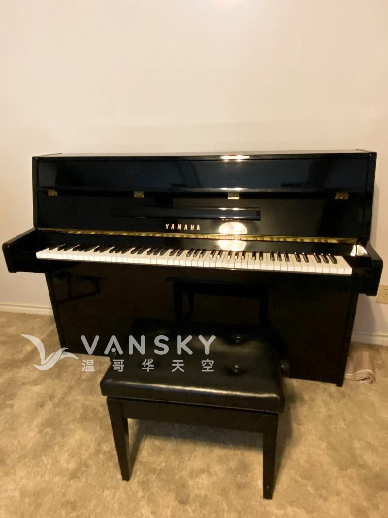 251020161316_Yamaha C109.jpg